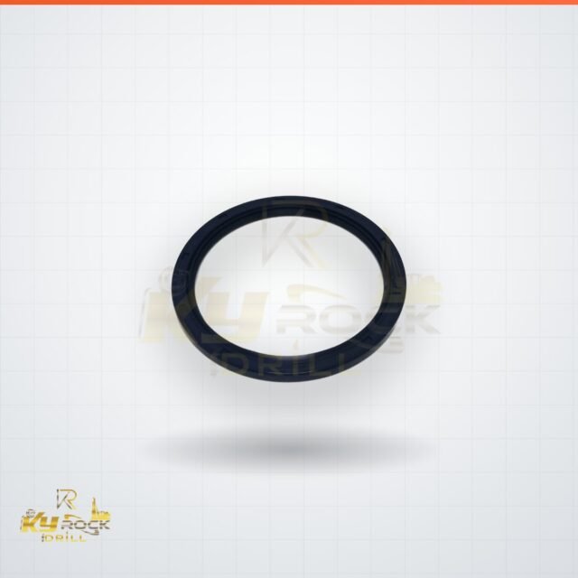 RADIAL LIP SEAL — OEM 0666 6000 60