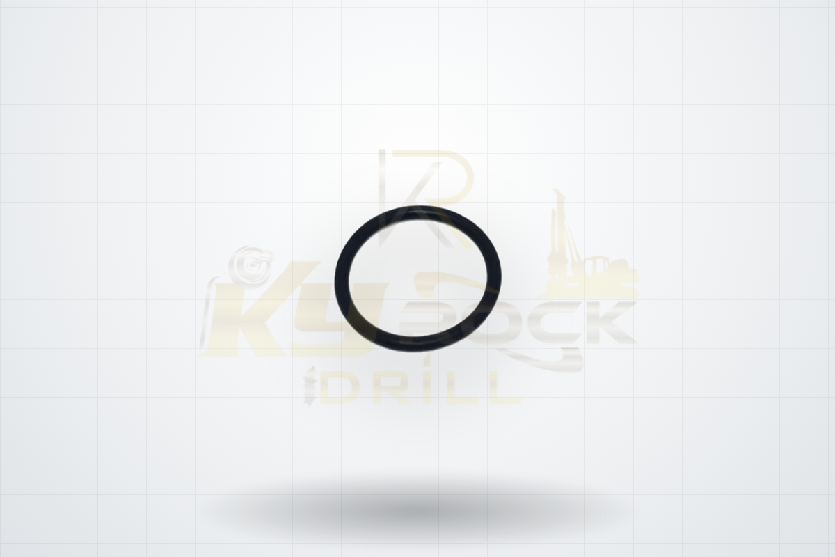 O RING — OEM 0663 2129 01