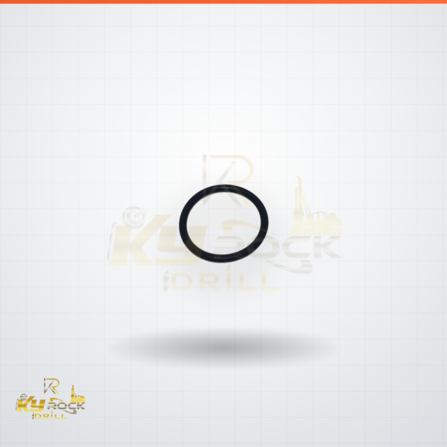 O RING — OEM 0663 2129 01