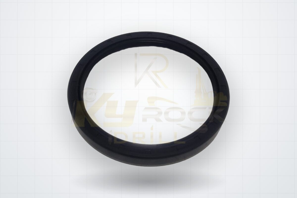 OIL SEAL — OEM 0666 6718 00