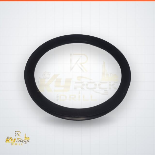 SEAL RING — OEM 0666 8007 04